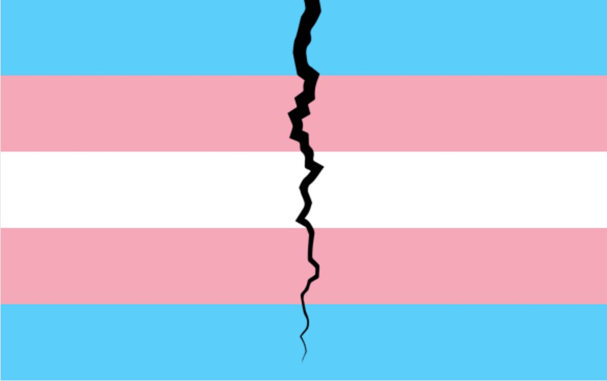 How a Free Speech Group Helped Right-Wing Dark Money Undermine Protections for Trans and Nonbinary Students